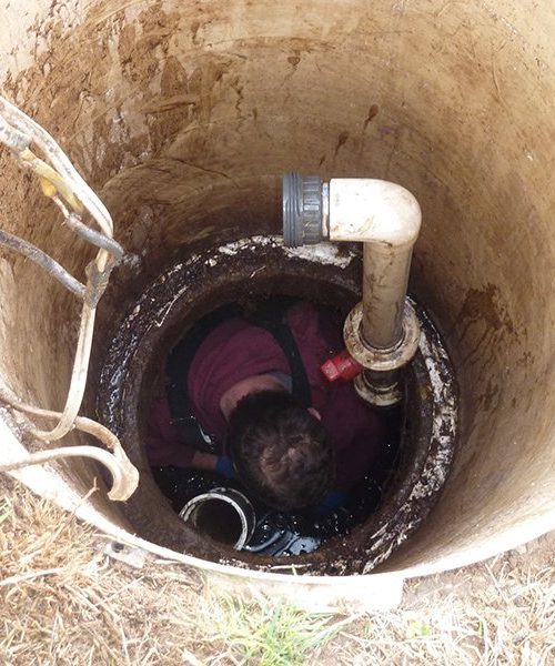 1978590_420509601418013_688759948_o